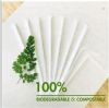 biodegradable pla/paper  straws